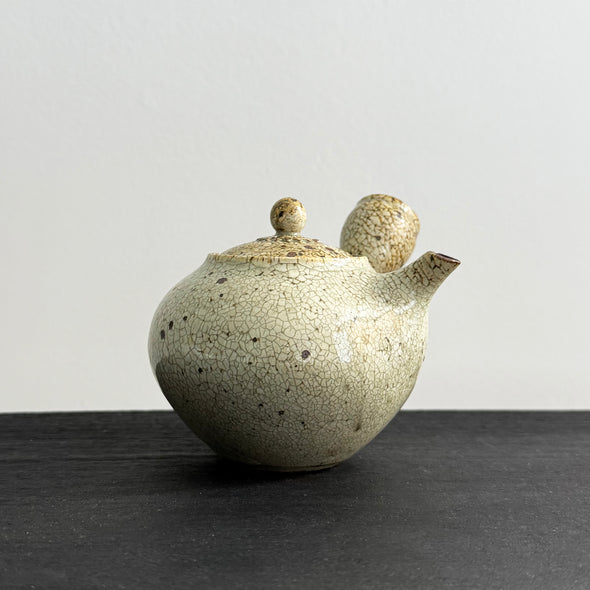 Scorched Kohiki Kiku Kyusu #9