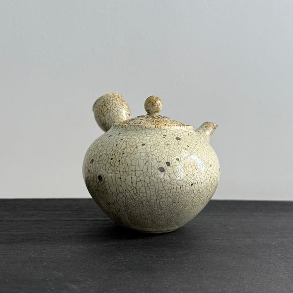 Scorched Kohiki Kiku Kyusu #9