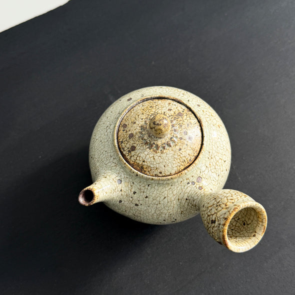 Scorched Kohiki Kiku Kyusu #9