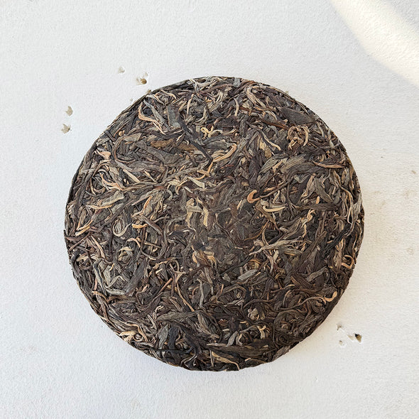 China: Yiwu 2021 Sheng Puerh