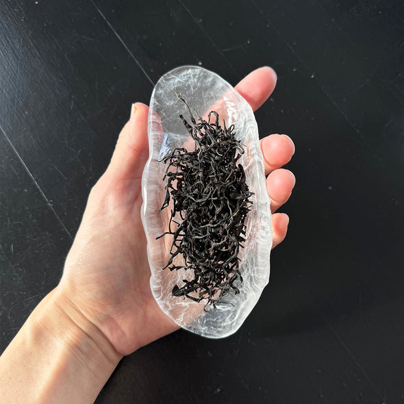 D3 Stone Tea Scoop Frosted