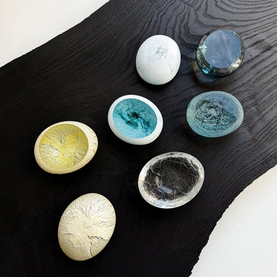 D15 Cosmic Fossil Stones