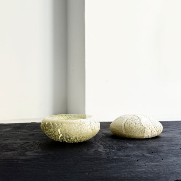 D15 Cosmic Fossil Stones