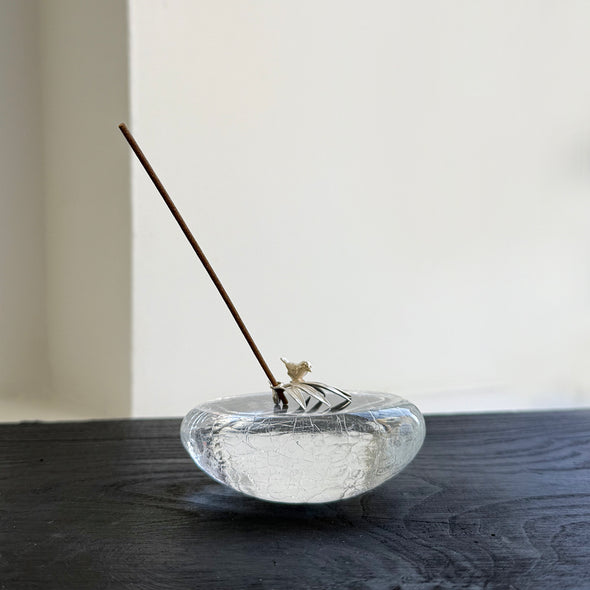 D15 Cosmic Fossil Stones