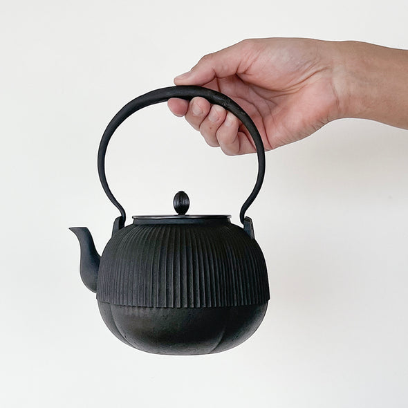 Cast Iron Tetsubin Water Kettle Boke