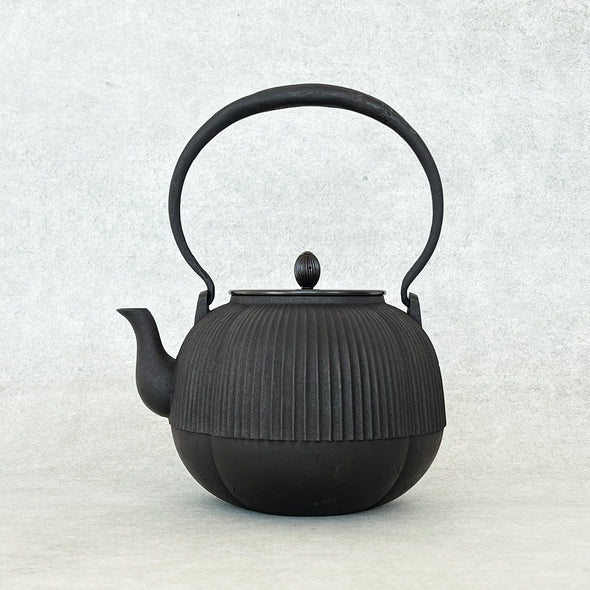 Cast Iron Tetsubin Water Kettle Boke