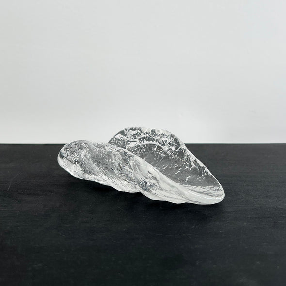 D2 Chasago Glass Tea Scoop