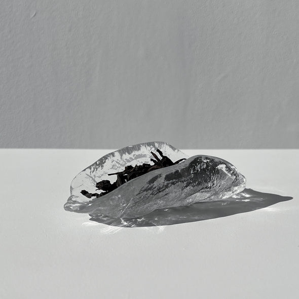 D2 Chasago Glass Tea Scoop