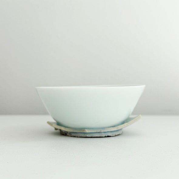 "REBORN" Medium Cup C