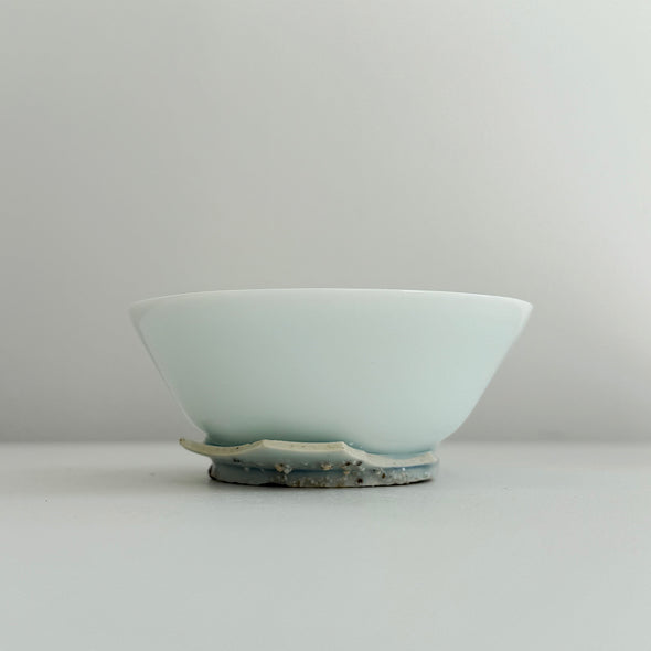 "REBORN" Medium Cup C
