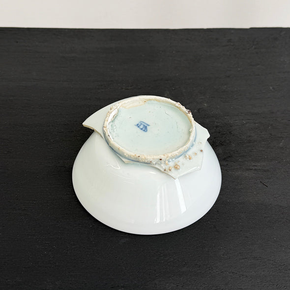 "REBORN" Medium Cup C