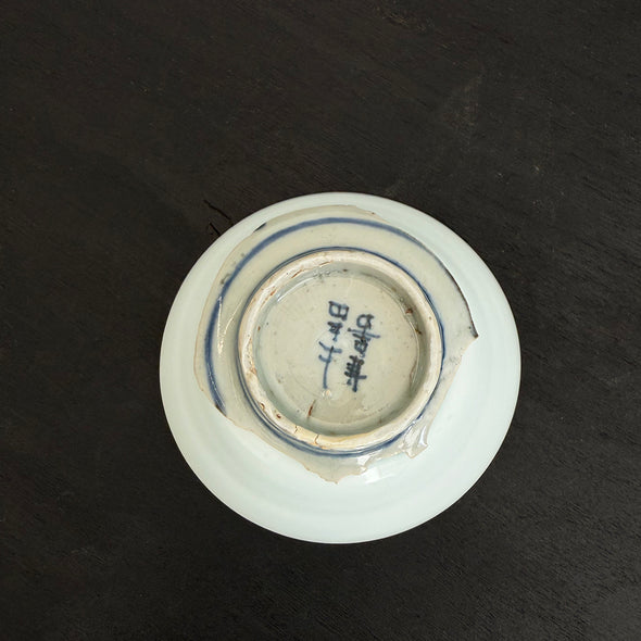"REBORN" Medium Cup D