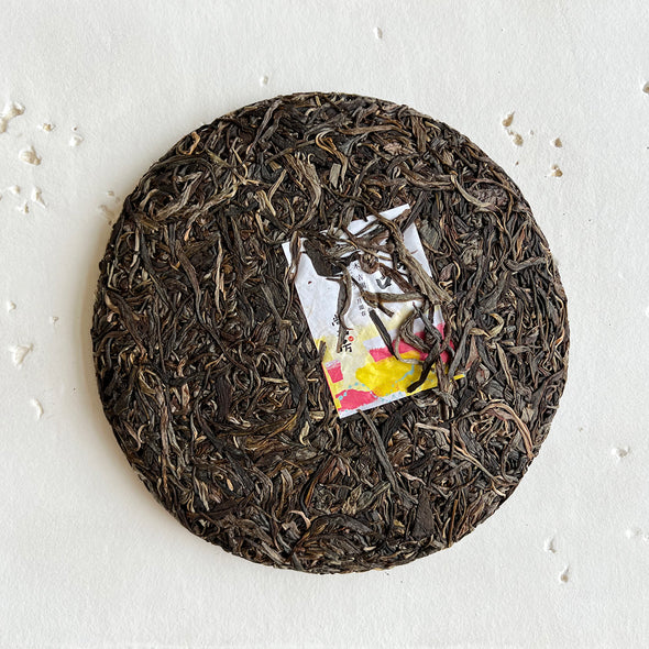 China: Bu Lang Shan Wild Arbor 2022 Sheng Puerh