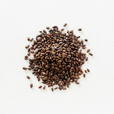 Japan: Roasted Habu