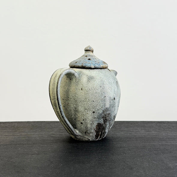 Kohiki Teapot #31