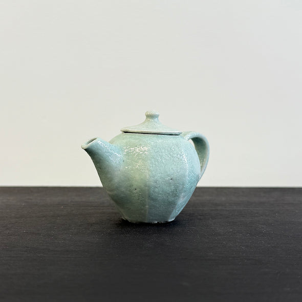 Seiji Mentori Gongfu Teapot #17-18