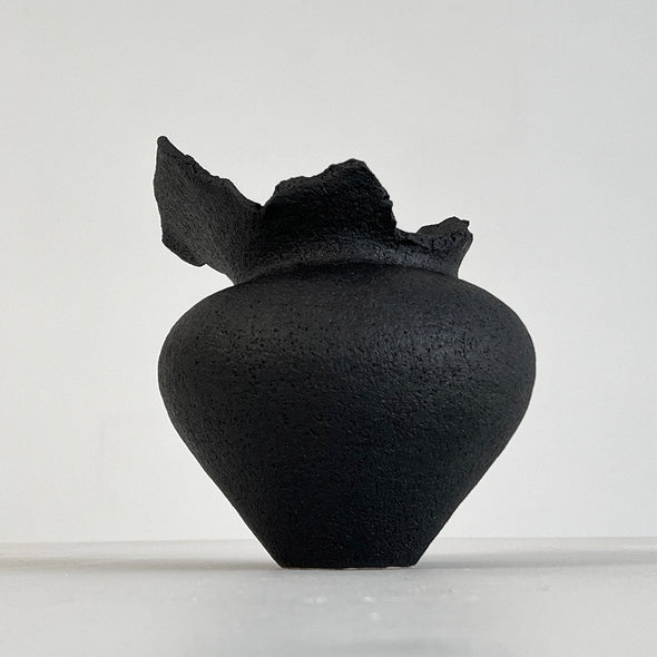 Black Bird Vase