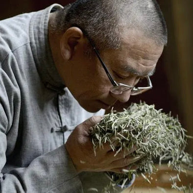 White Tea – Tea Dealers