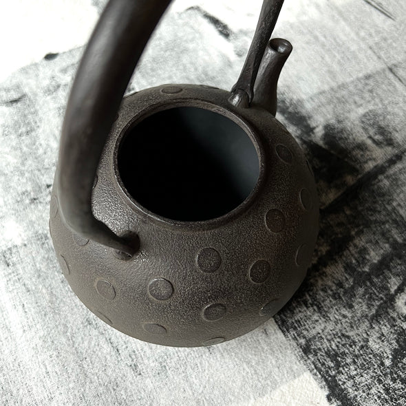 Cast Iron Tetsubin Water Kettle Mizutama