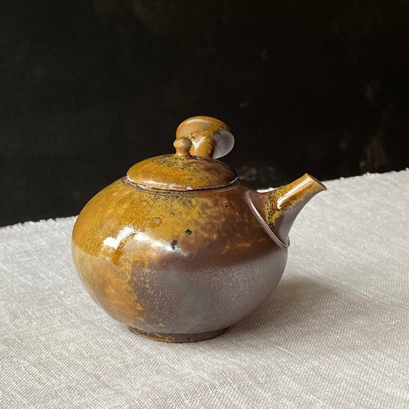 Special Exhibition Wood Fired Kyusu B54