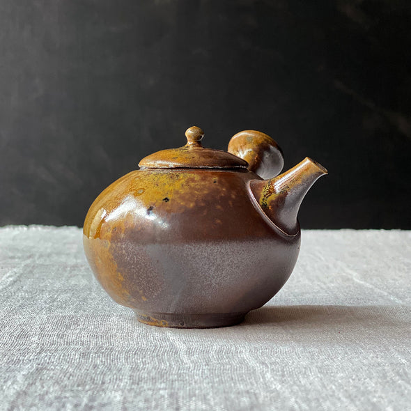 Special Exhibition Wood Fired Kyusu B54