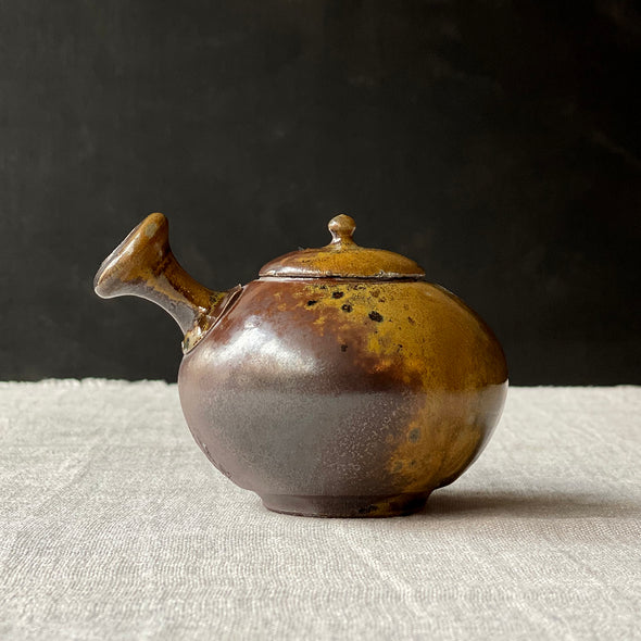 Special Exhibition Wood Fired Kyusu B54