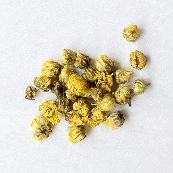 China: Wild Chrysanthemum Flowers