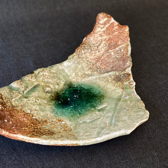 Iga Vidoro Shards Plate