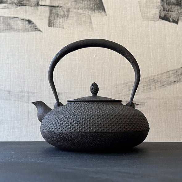 Araremon Hirahojogata Cast Iron Tetsubin Water Kettle