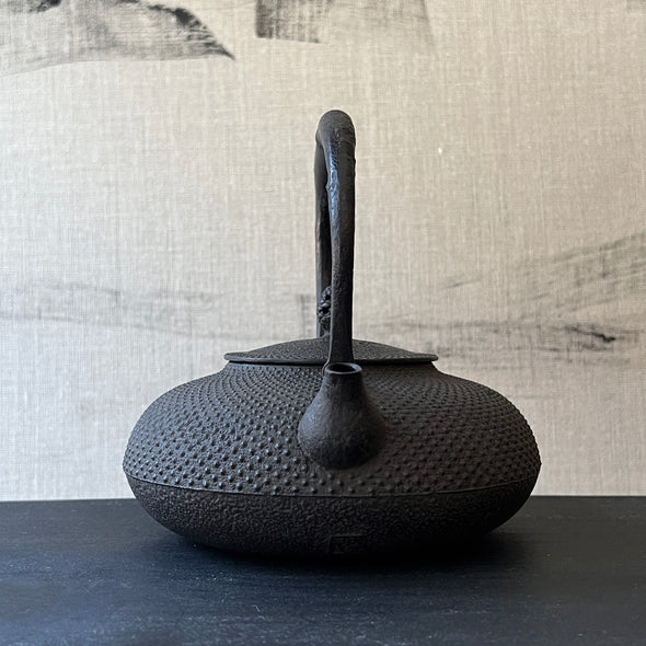 Araremon Hirahojogata Cast Iron Tetsubin Water Kettle