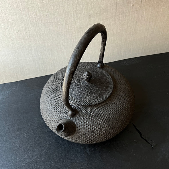 Araremon Hirahojogata Cast Iron Tetsubin Water Kettle