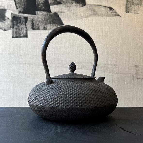 Araremon Hirahojogata Cast Iron Tetsubin Water Kettle