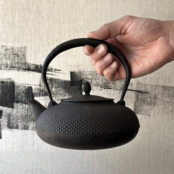 Araremon Hirahojogata Cast Iron Tetsubin Water Kettle