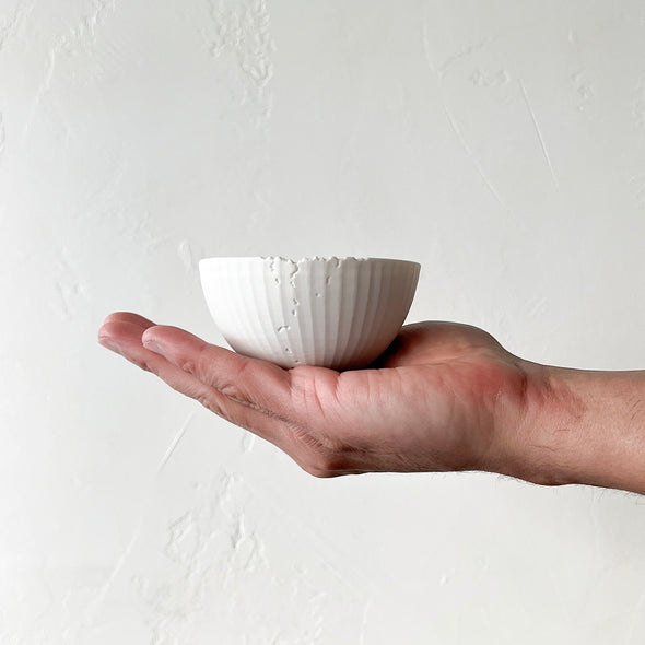 Mushikui Teacup Matte White 23B